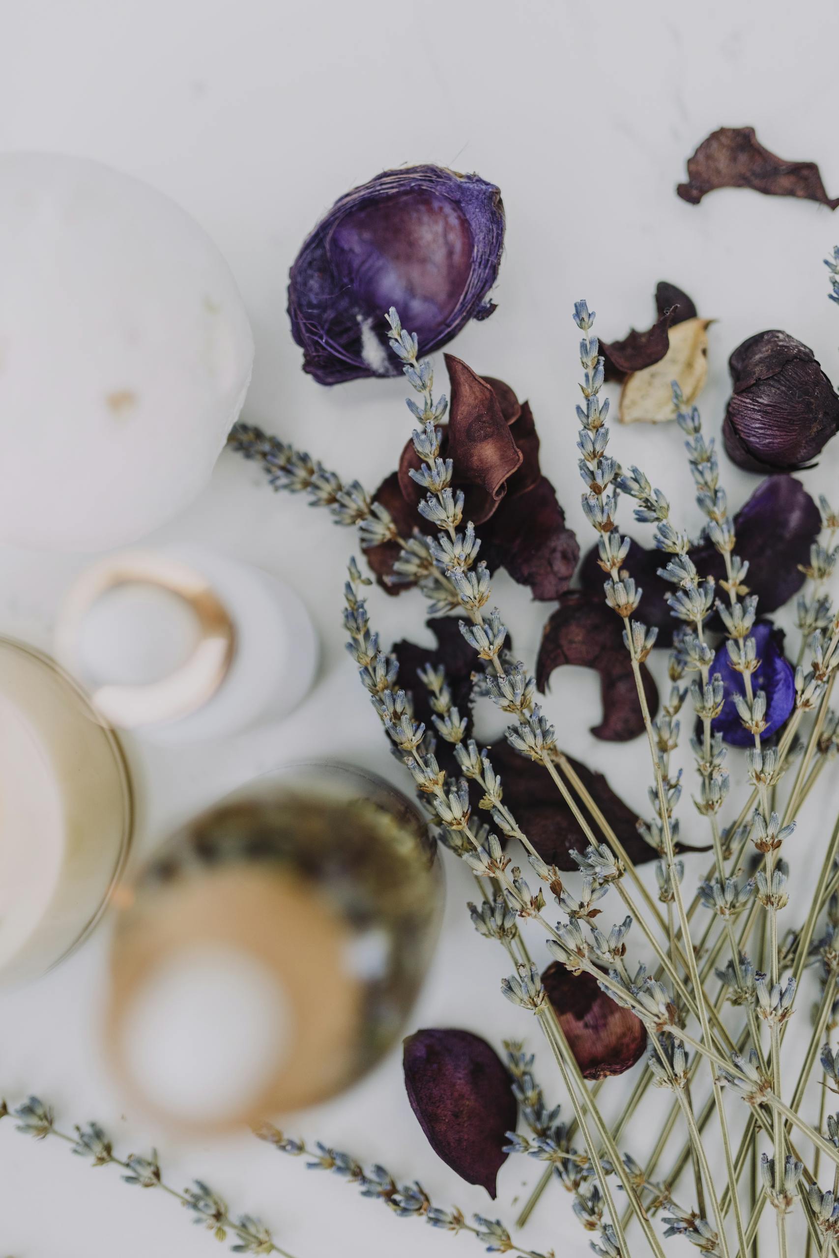 Zartes Arrangement von Lavendel und getrockneten Blumen, das eine beruhigende, heilende Atmosphäre widerspiegelt – passend zur ganzheitlichen Gesundheitsberatung.