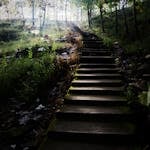 Ein ruhiger Waldweg mit natürlichen Holzstufen, der im weichen Licht der Morgensonne liegt. Umgeben von grünem Laub strahlt die Szene eine achtsame, friedliche Atmosphäre aus – ein stimmungsvolles Sinnbild für persönliches Wachstum im eigenen Tempo. Das Bild begleitet die Podcastfolge „Wachsen mit Achtsamkeit“ von Jule, in der es um individuelle Entwicklung, Achtsamkeit und innere Stärke geht. Es passt visuell zum Blogbeitrag auf Jules Website und unterstreicht die Verbindung von Natur, Achtsamkeit und Selbstfürsorge.